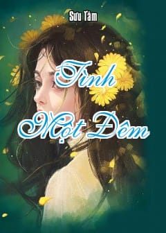 Ảnh Tình Một Đêm