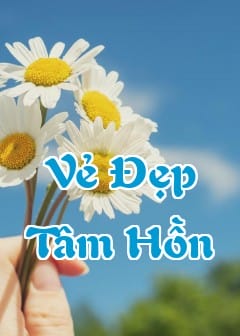 Ảnh Những Câu Nói Về Vẻ Đẹp Tâm Hồn Ý Nghĩa Và Sâu Sắc Nhất