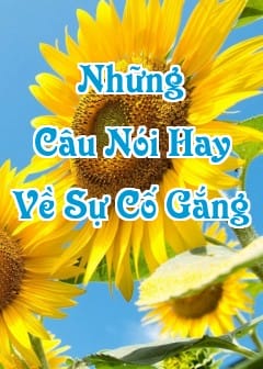 Những Câu Nói Hay Về Sự Cố Gắng, Chiến Thắng Bản Thân