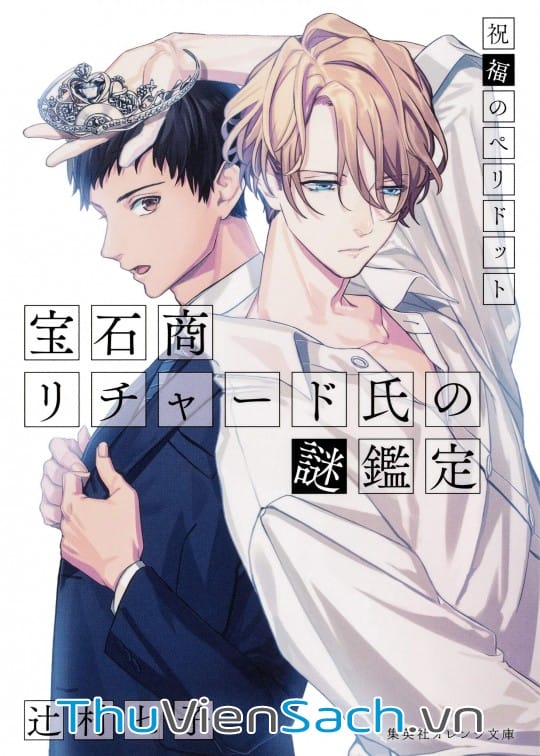 Ảnh bìa sách Hồ Sơ Đá Quý Của Richard