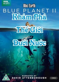 Khám Phá Thế Giới Dưới Nước