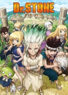 Dr. Stone