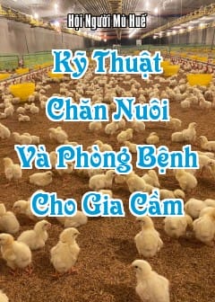 Kỹ Thuật Chăn Nuôi Và Phòng Bệnh Cho Gia Cầm