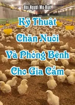 Ảnh Kỹ Thuật Chăn Nuôi Và Phòng Bệnh Cho Gia Cầm
