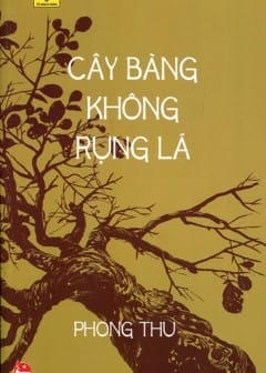 Cây Bàng Không Rụng Lá