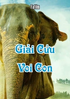 Giải Cứu Voi Con