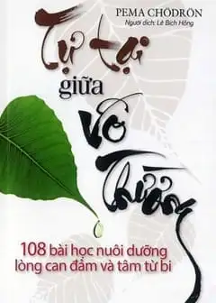 Ảnh Tự Tại Giữa Vô Thường