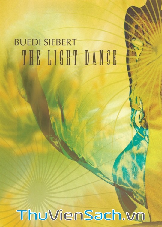 Ảnh bìa sách Vũ Điệu Của Ánh Sáng - The Light Dance