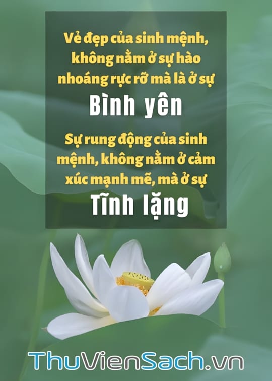 Ảnh bìa sách Tâm Tĩnh Lặng Ức Chế Lửa Oán Hận Là Một Cảnh Giới Cao Thượng Của Trí Tuệ