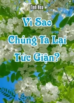 Vì Sao Chúng Ta Lại Tức Giận?